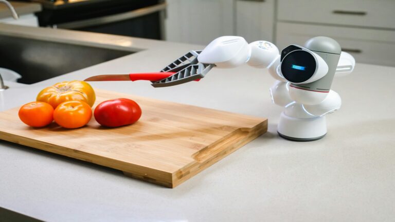 Amazon Kitchen Gadgets