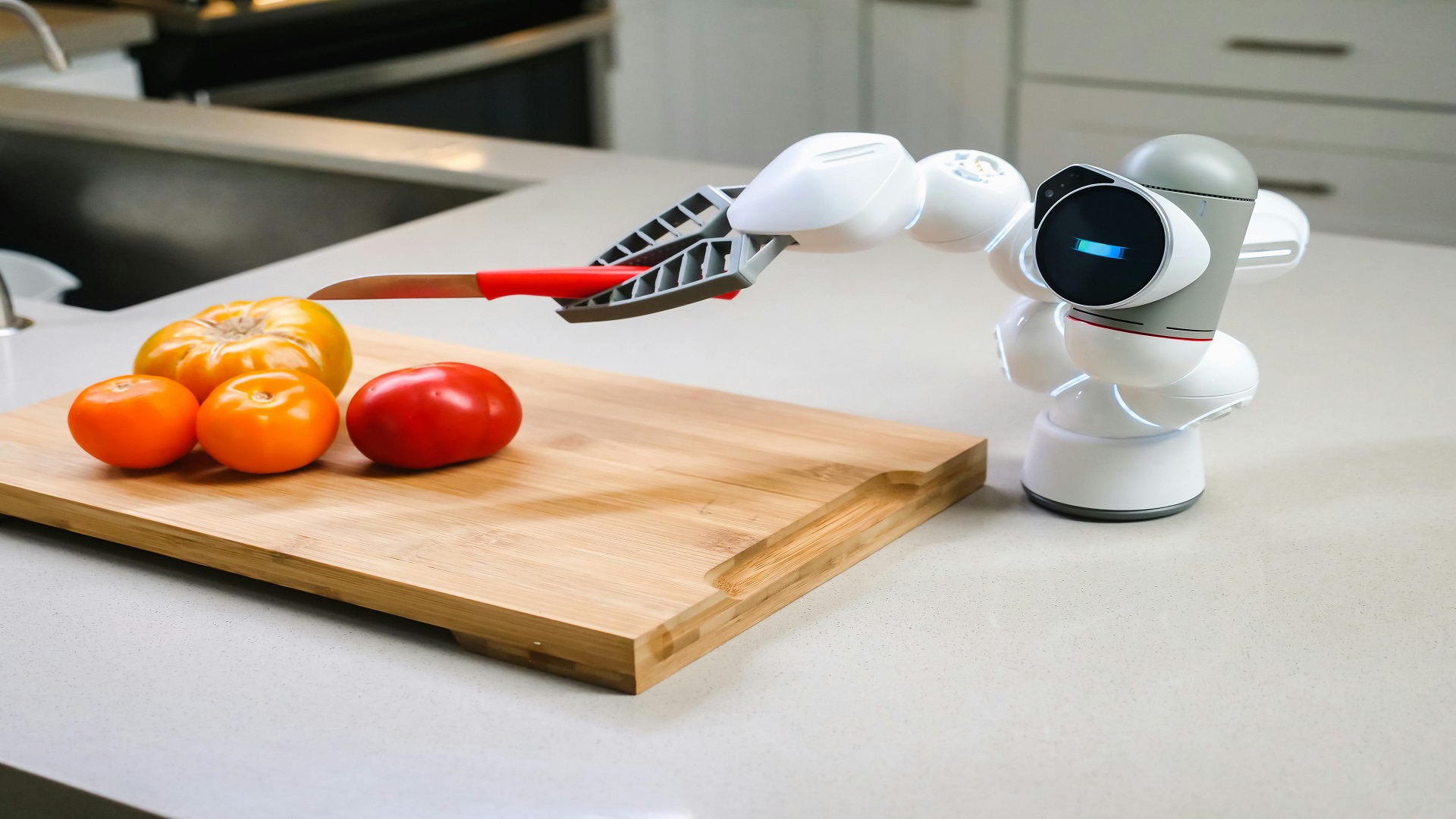Amazon Kitchen Gadgets